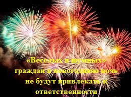 «Веселых и шумных» граждан в новогоднюю ночь не будут привлекать к ответственности.