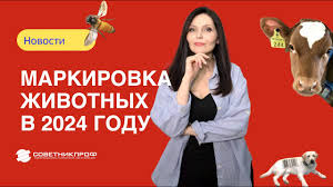 Владельцы личных подворий обязаны зарегистрировать и промаркировать своих питомцев.. Владельцы личных подворий обязаны зарегистрировать и промаркировать своих питомцев..